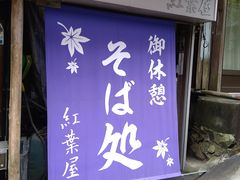 ̍gtւ̓eʐ^1