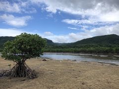 肭ۂ񂳂̐\Jk[cA[̂тՂՂûՂvւ̓eʐ^1