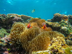 \ ADVENTURE PiPi̎ʐ^2