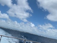 Ă̌cǊ(P})C攼cA[X@OPGւ̓eʐ^1