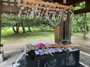 yosshy̑ќA_Ђ̓eʐ^2