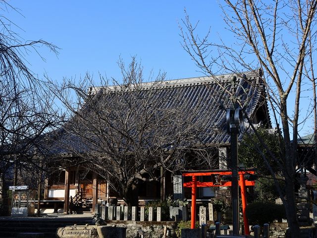 大峯々中秘密絵巻 櫻本坊第65世住職巽良海識語箱書有り 復刻長尺