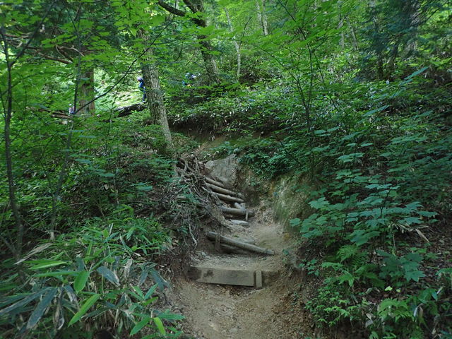 ���[�E���x�o�R��