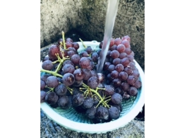 �������􂢏�Ő􂢂܂���_���}�I�J��