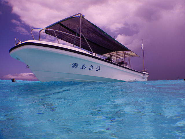 �_�������������ǁA���̔������I_�u���[�t�H���X�g�{�Ó�