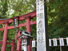 たぬきさんの彌彦神社への投稿写真1