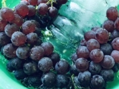 MiKuRũ}IJւ̓eʐ^3