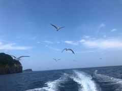 makȉM̓AN[Yւ̓eʐ^1