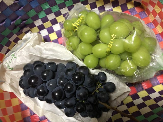 �݂�������񂳂�̈������_���̓��e�ʐ^1