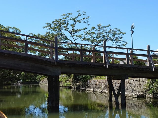 ��������̋��̉���ʂ��āc�c
_����ό��J��(��)�u������D��v