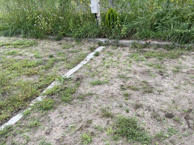 �L�����v�T�C�g_���h�������艷�򃌃C�N�C��