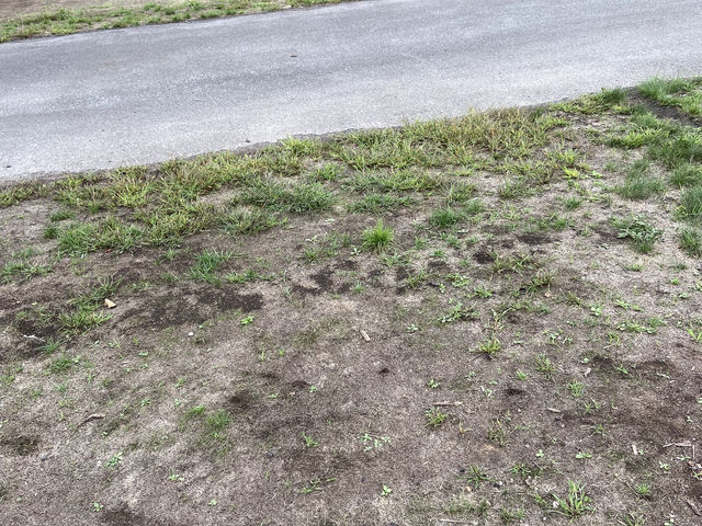 �L�����v�T�C�g_���h�������艷�򃌃C�N�C��