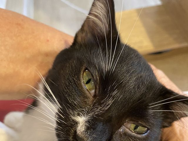 �����񂾂��́B�L�L����񂠂肪�Ƃ��B_�ی�L�J�t�F�@�Ђ��܂荆