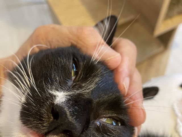 �^�L�V�[�h�L�̃L�L����񂠂肪�Ƃ��B�����Ƃ��Ă������񂾂��́B�L���[���Ă��Ă݂���B_�ی�L�J�t�F�@�Ђ��܂荆