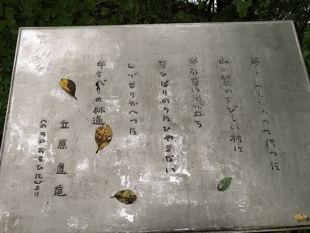 Shota̗i쌧y򒬁j̓eʐ^1