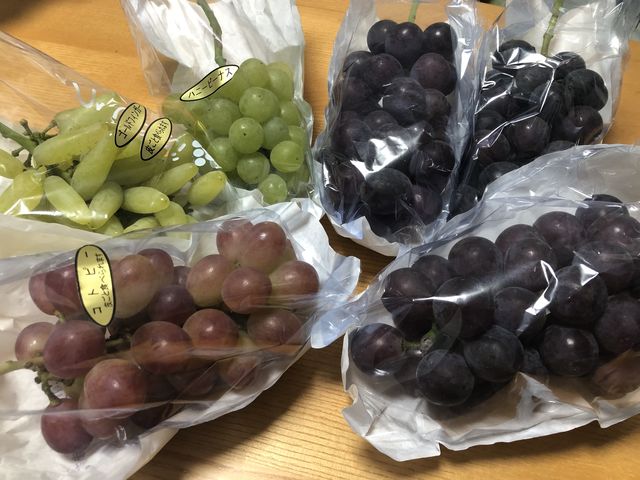 �N�[�|�����g���Ă����ł�_����Ԃǂ���