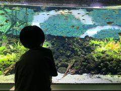 XYL̃JXC 萅قւ̓eʐ^1