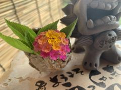 񂶂񂳂greenւ̓eʐ^1