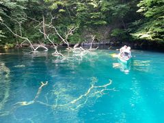 ̂肳̃BgJ̓]ւ̓eʐ^1