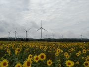 Ƃ݂񂳂̉ÕzR̓eʐ^1