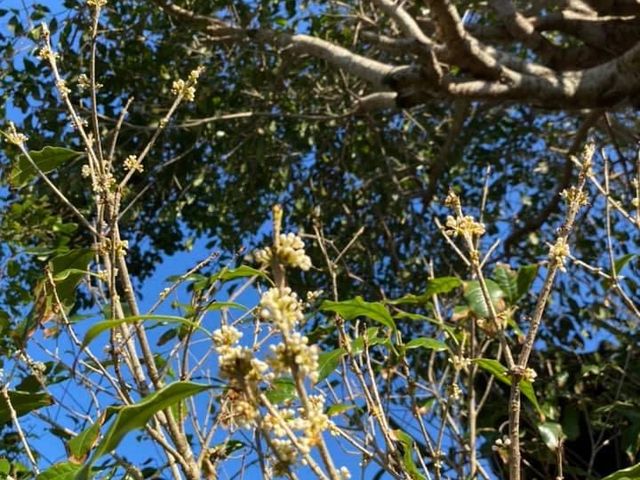 [񂳂̌Í]̃LNZC̓eʐ^4