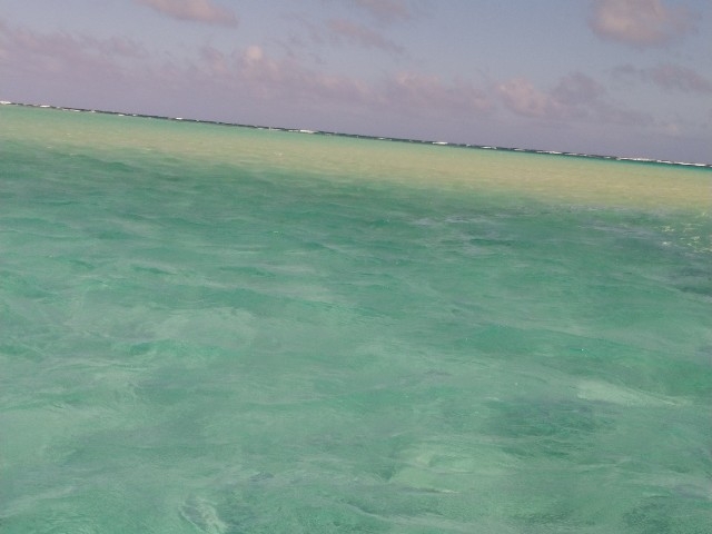 �����߂���C_���������r�[�`�{�[�C�N���u