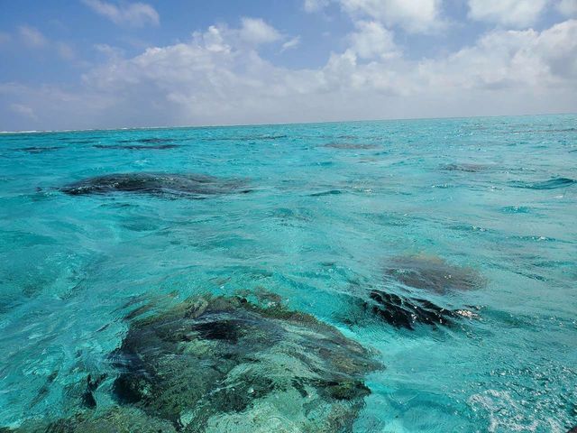 �����̘A��_���������r�[�`�{�[�C�N���u