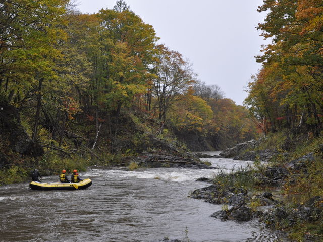 �V�[�\���v�`��_�K�C�h���C���A�E�g�h�A�N���u