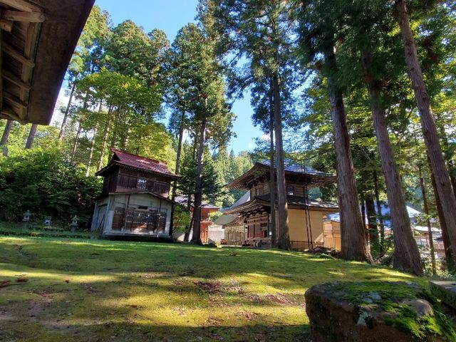 �W���ꏊ�̓��V�_�ЁB�H�̋�C�͏����₽���̂ŌC����p�[�J�[�𒅂�̂���_Snow Crystal Wellness