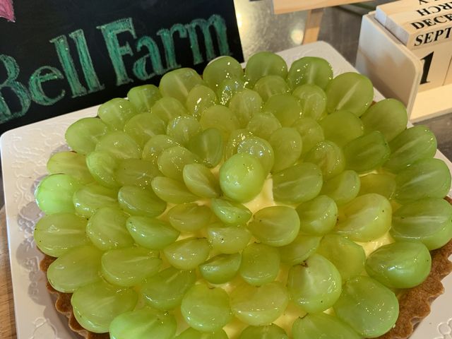 �V���C���}�X�J�b�g�̃^���g_����_�ƌ����x���t�@�[��