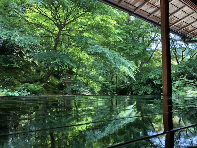 �X�}�z�ł����ꂾ���̎ʐ^���B�e�ł��܂���_�ڗ����@