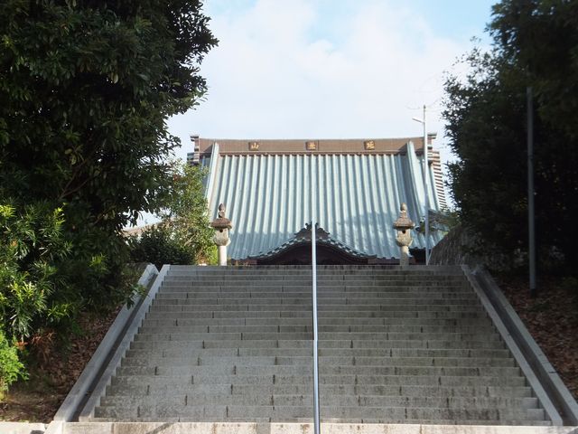 �R�傩�������{�����[���Ŕ������B_������