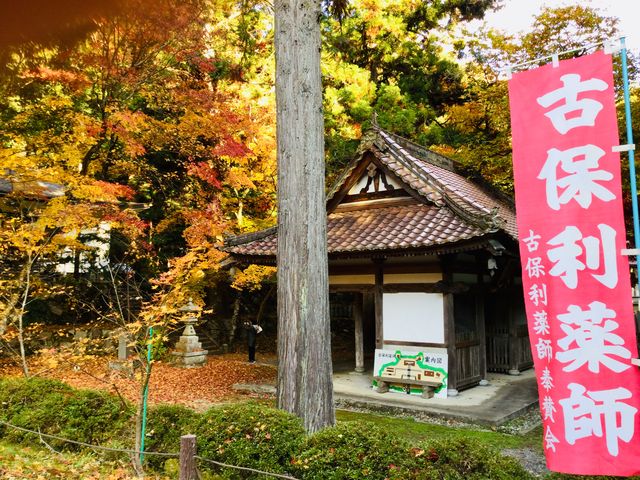 2020�N11��_�Õۗ���t������