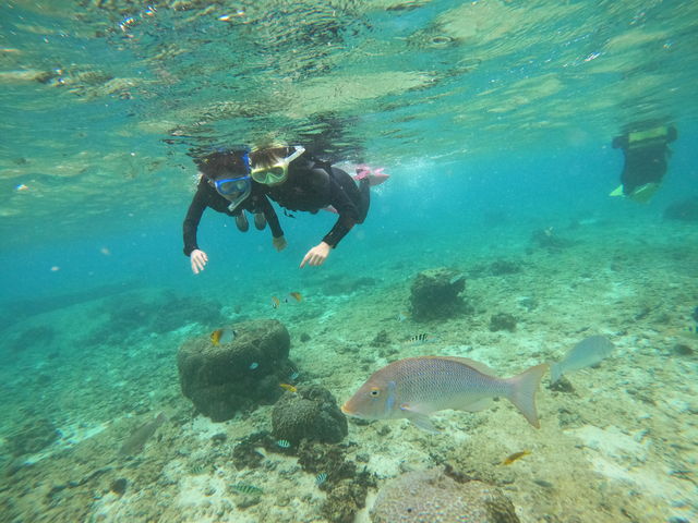 �}�}�ƒ��j_����S���_�C�u