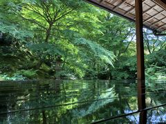 傤񂳂̗ڗ@ւ̓eʐ^1