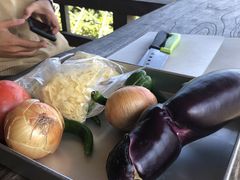 񂳂̉t[cK[fւ̓eʐ^1