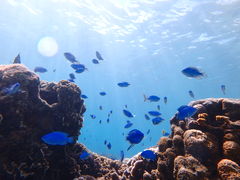 3mamaNature Guide Double Rainbow lC`[KCh@_uC{[ւ̓eʐ^1