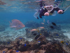 ̂̂Nature Guide Double Rainbow lC`[KCh@_uC{[ւ̓eʐ^1