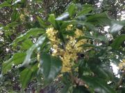 [񂳂̌Í]̃LNZC̓eʐ^2