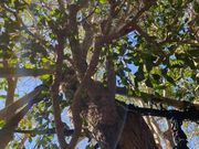 [񂳂̌Í]̃LNZC̓eʐ^5