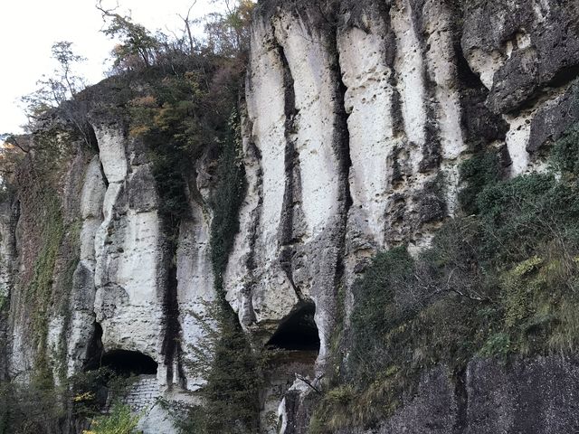 ��J�i�ό���