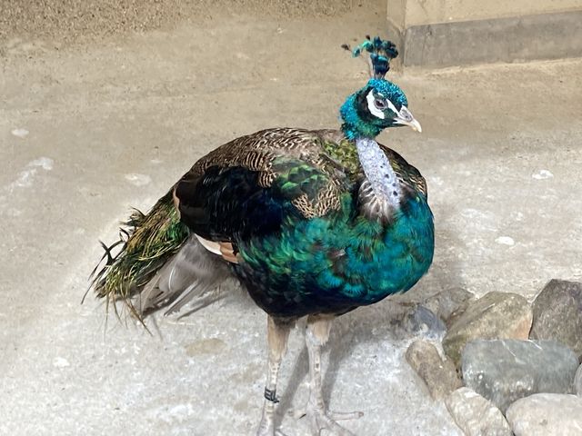 �E�������܂����B_�������������