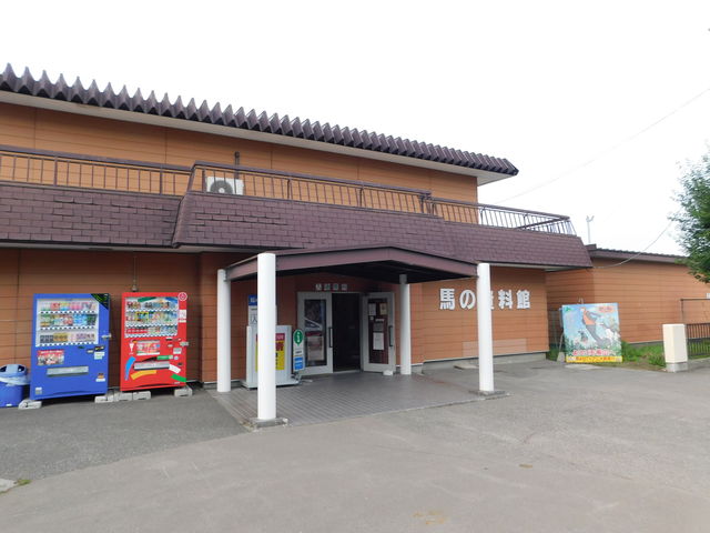 ����_�n�̎�����