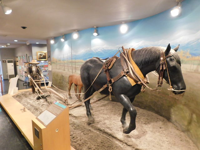 �_�k�n_�n�̎�����