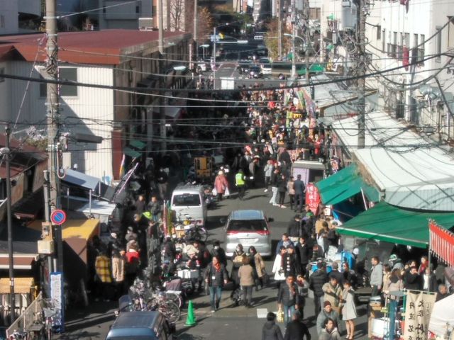 �g���ʂ�_�z�n��O�s��