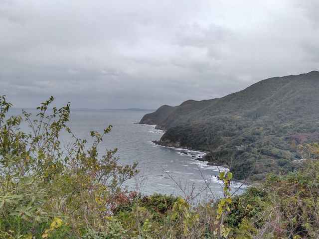 �p�����ʂ̐�i_�����m�@