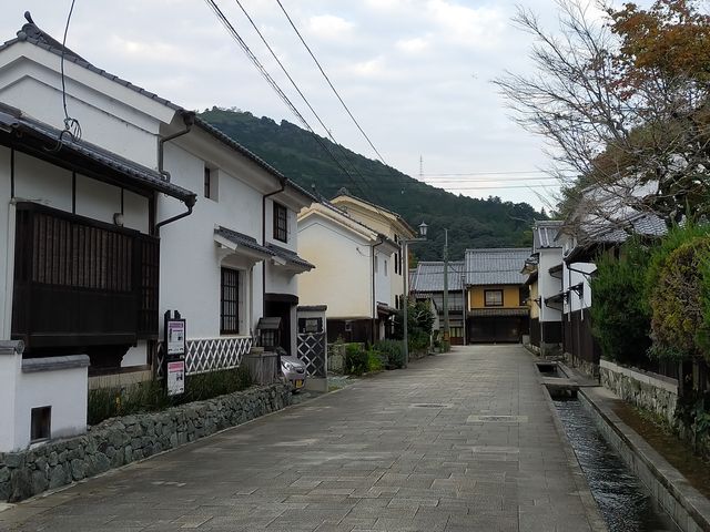 ��F�́u���͂Ȃ͂�ʂ�v_��F�̒�����