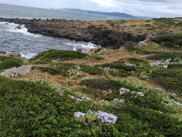 LY̊p_}MNQn^_}MN̓eʐ^1