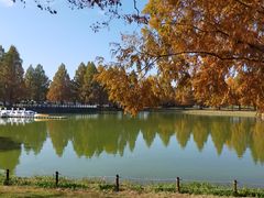 川越水上公園の口コミ一覧 じゃらんnet