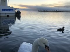 ł[̃{[gnEXCւ̓eʐ^1